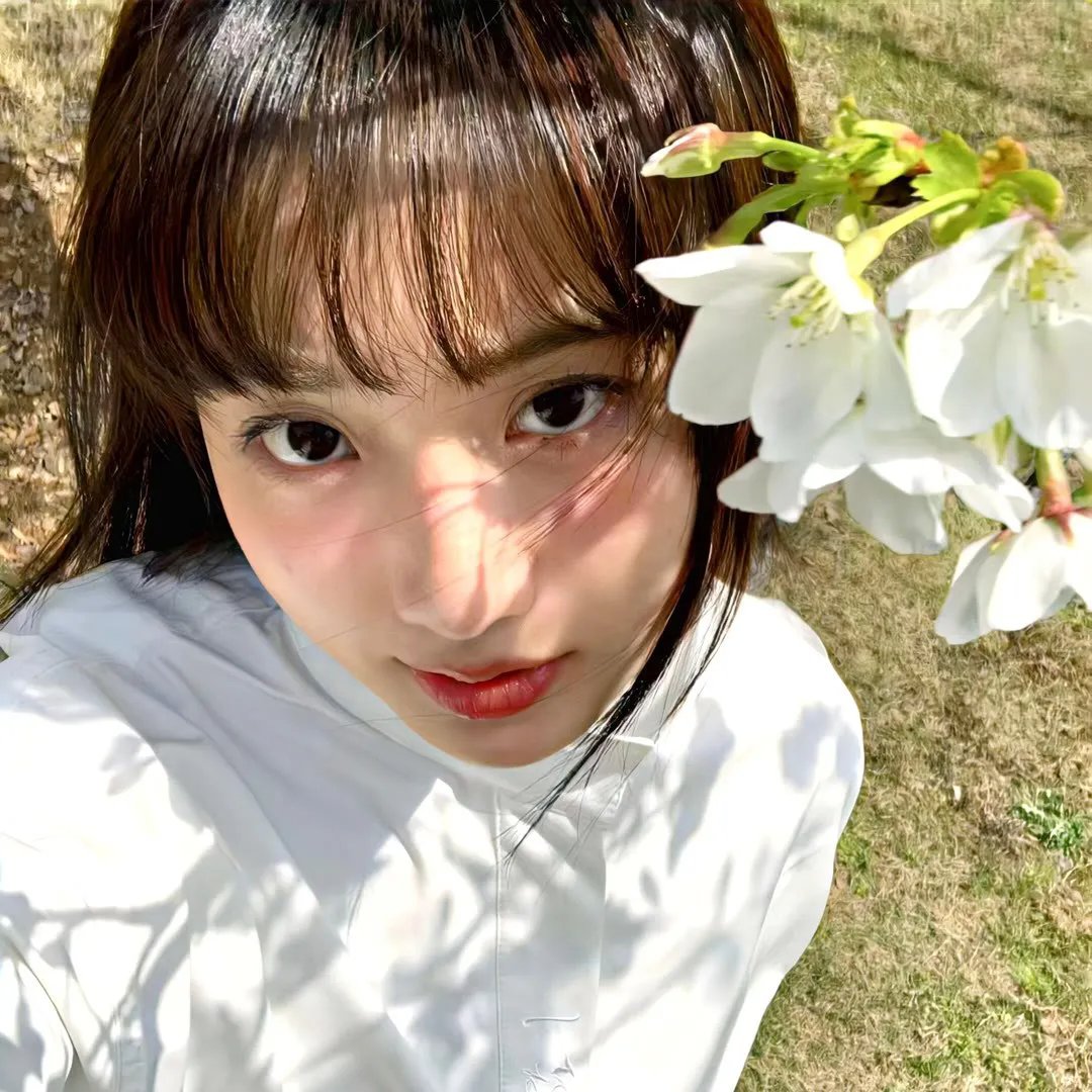 铳梦：战斗天使 在线观看